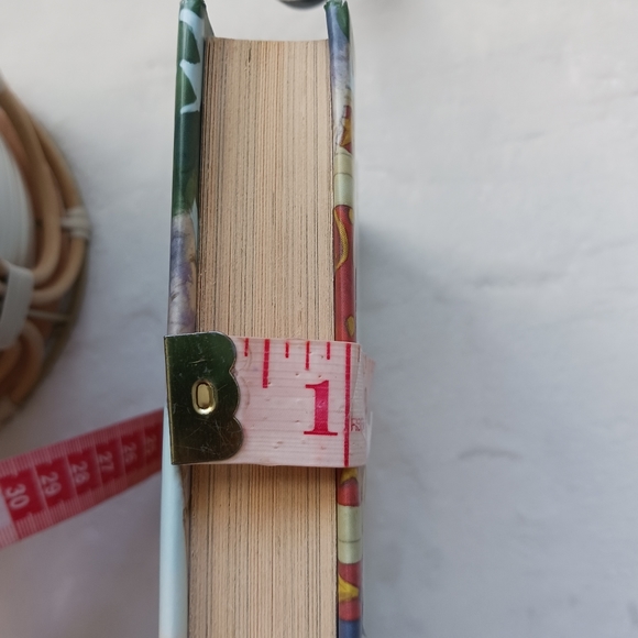 "The Daring Escape Of The Misfit Menagerie" Jacqueline Resnick, Children's Book - Picture 13 of 16